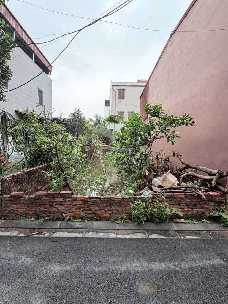 Bán gấp lô đất khu vực xã vân nội huyện đông anh hà nội - Ảnh 2