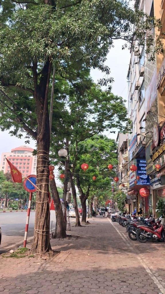 SIÊU MẶT PHỐ HOÀNG QUỐC VIỆT, VỈA HÈ RỘNG 8M - VỊ TRÍ QUÁ ĐẸP ĐỂ KD