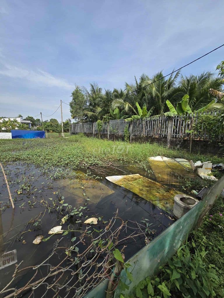 Bán 1000m đất Cây Lâu Năm Xã Hưng Long Bình Chánh - Ảnh 3