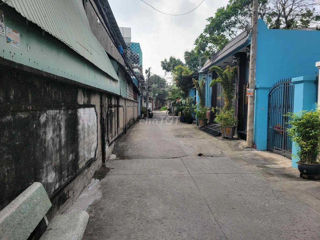 Lô đất 59m² Tân Túc – Hẻm xe tải Nguyễn Hữu Trí – Giá tốt hiếm có - Ảnh 2