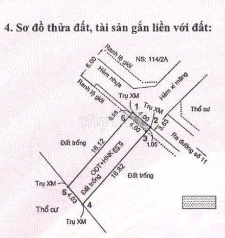 Chính chủ bán đất Trường Thọ Thủ Đức - Ảnh 2