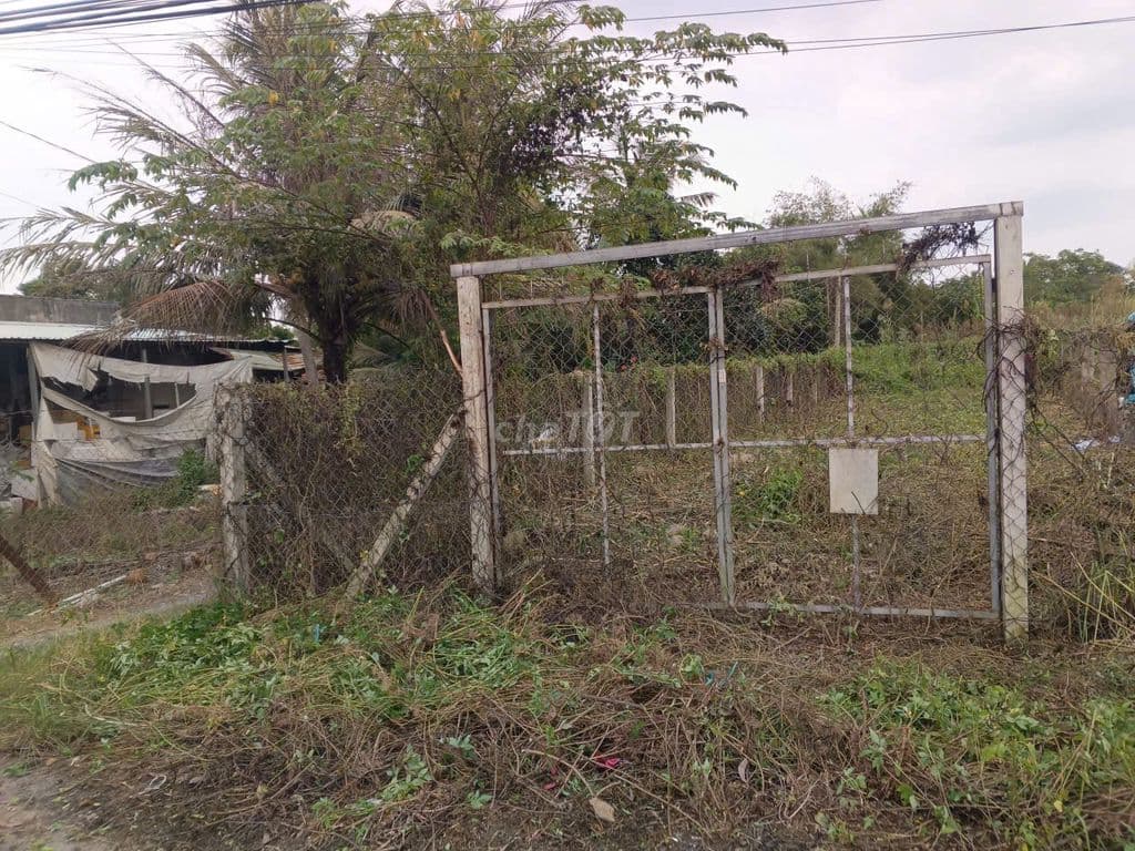 Lô đất góc 2 MT đường Trung An, diện tích 249m2, full thổ, xã Trung An - Ảnh 2