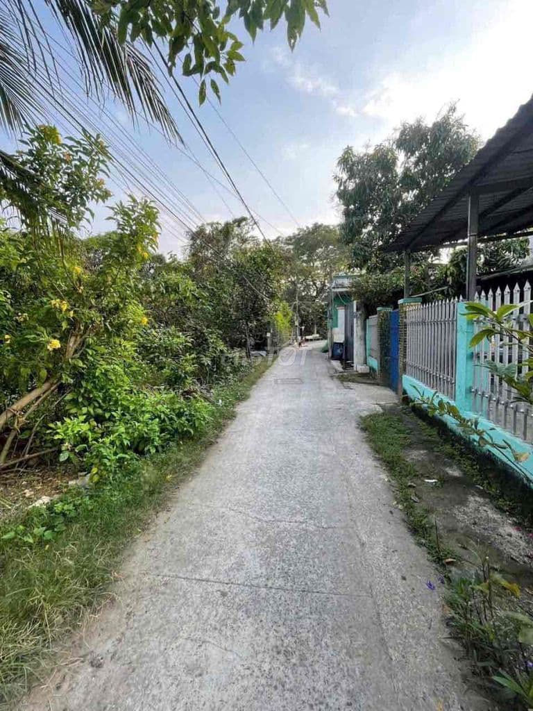 🌟 BÁN ĐẤT XÃ Tân Quý Tây – Bình Chánh (TP.HCM)