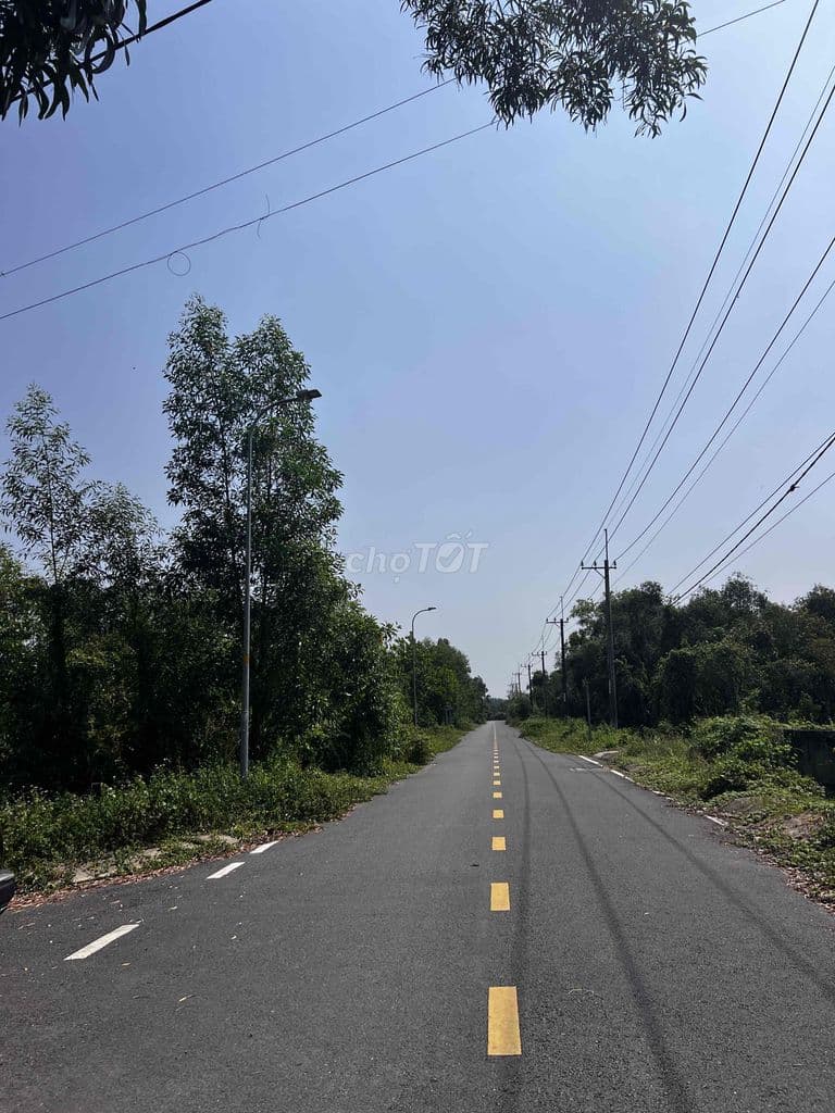 Bán đất MT Đường Nguyễn Thị Lèn sát Sông Sài Gòn - Ảnh 2