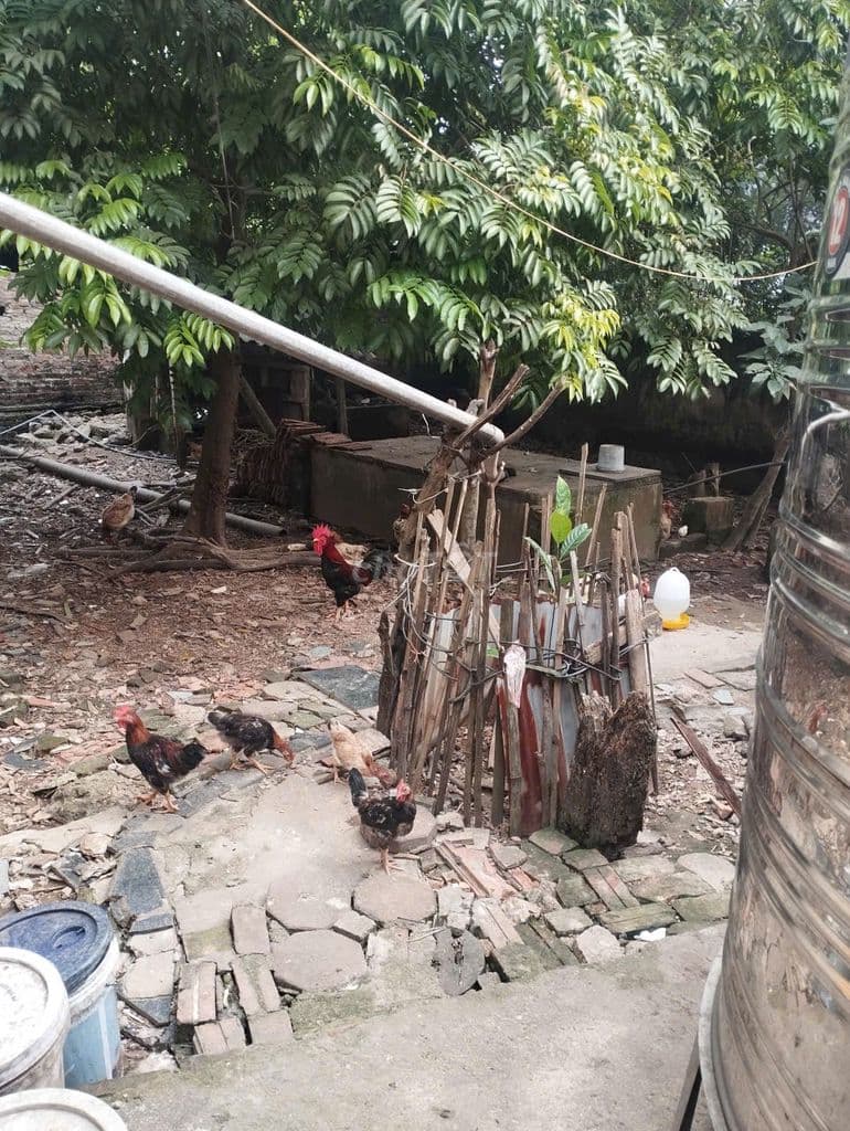 Bán 48m đất xen kẹt siêu đẹp xã Đại Thanh, ngõ rộng, vị trí đẹp - Ảnh 2