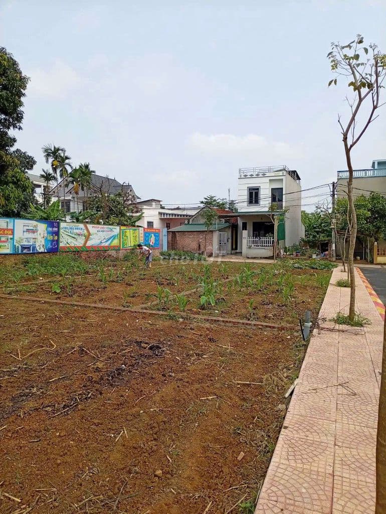 Bán 100m² đất thổ cư Hòa Lạc sát ĐHQG, FPT - Sổ đỏ sang tên 24h - Ảnh 3