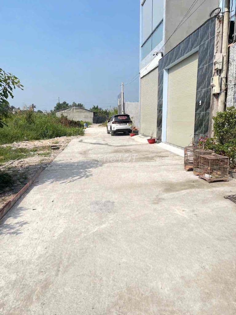 Binh My 5,8x25 - Ảnh 3