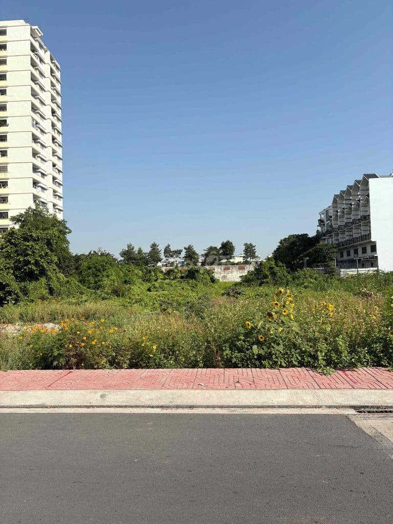 ĐẤT PHÂN LÔ VÕ VĂN KIỆT GIÁP QUẬN 6 56m2 ( 4 x 16 ) CHỈ NHỈNH 4TỶ