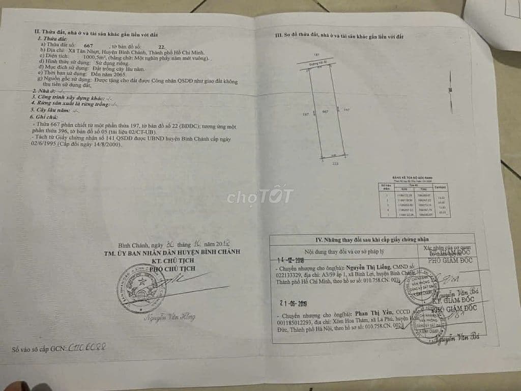 Bán đất 1000m2 xã Tân Nhựt,Bình Chánh - Ảnh 3