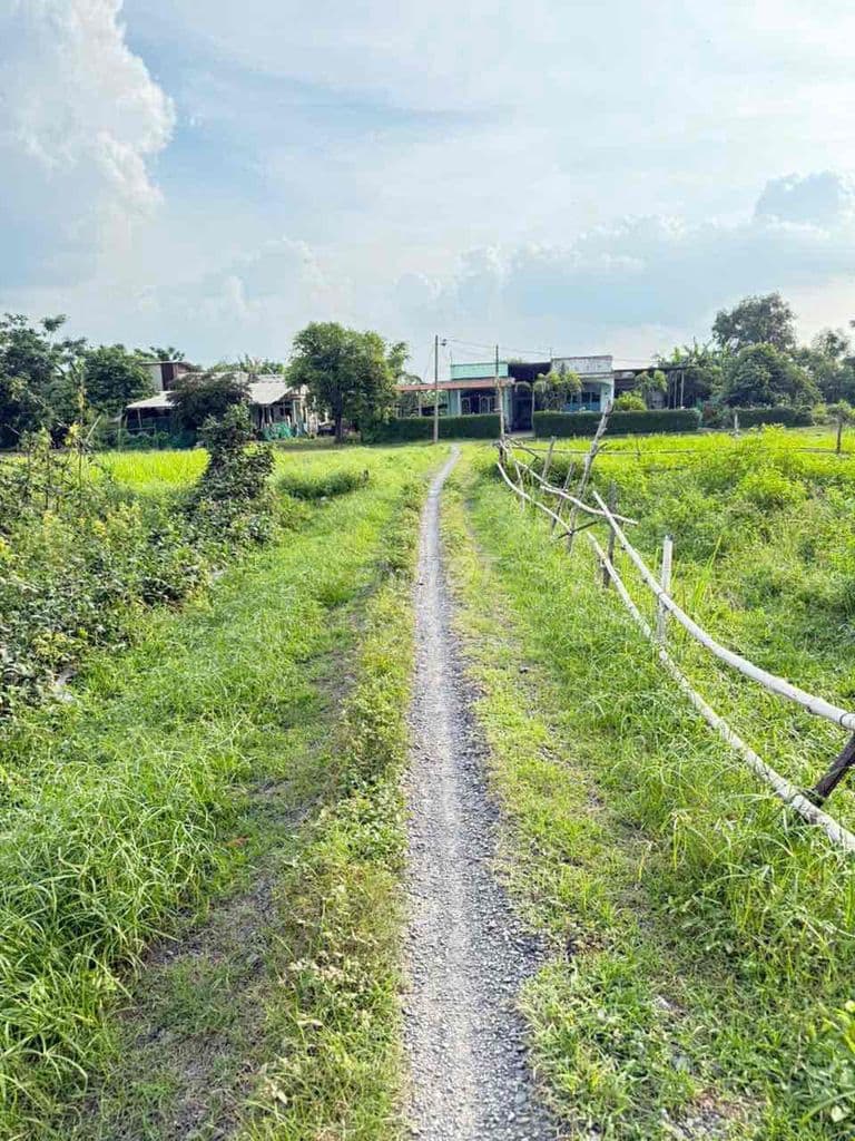 Đất Xã Bà Điểm . gần KCN Vĩnh Lộc . 5 sổ riêng - Ảnh 3