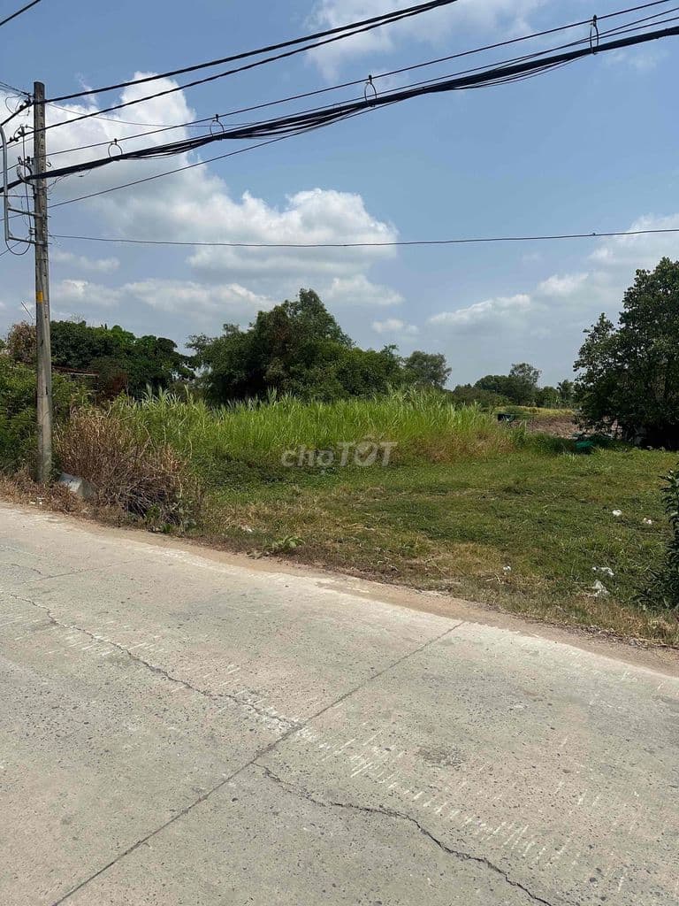 BÁN ĐẤT CHÍNH CHỦ KÊNH T9 XÃ HƯNG LONG-BÌNH CHÁNH-TRONG DỰ ÁN LỚN - Ảnh 3