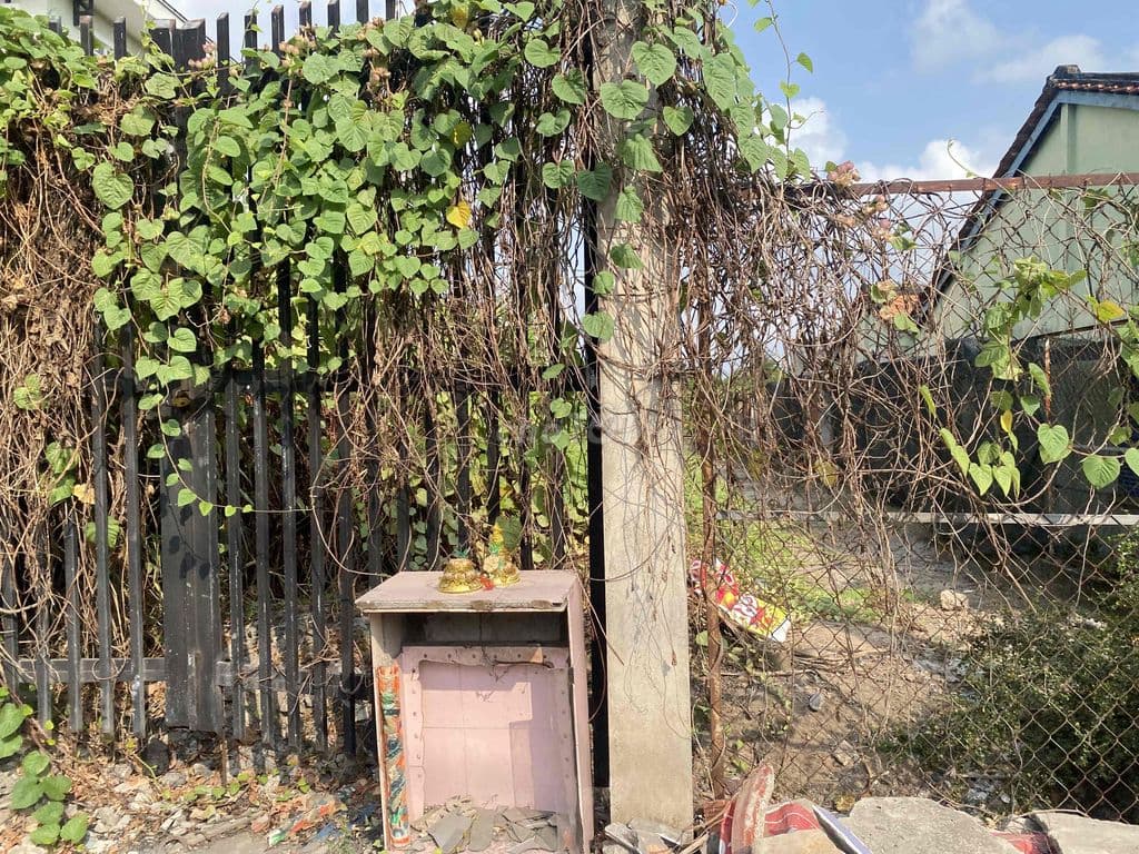 Bán đất Mặt tiền An Phú Tây Hưng Long 1.2ha gần chợ Thuận Đạt - Ảnh 2