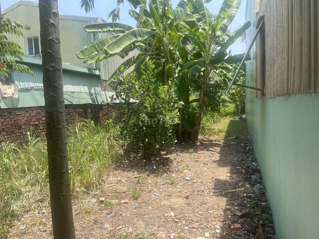 Cc bán gấp đất Mặt tiền Tx31, Q12, 16 tỷ - Ảnh 2