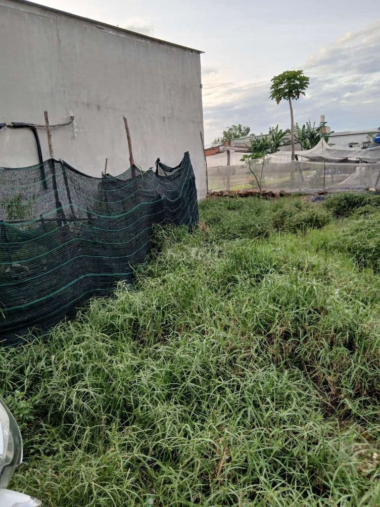 Về quê cần bán gấp lô đất lọt khe 4 * 13 - Ảnh 2