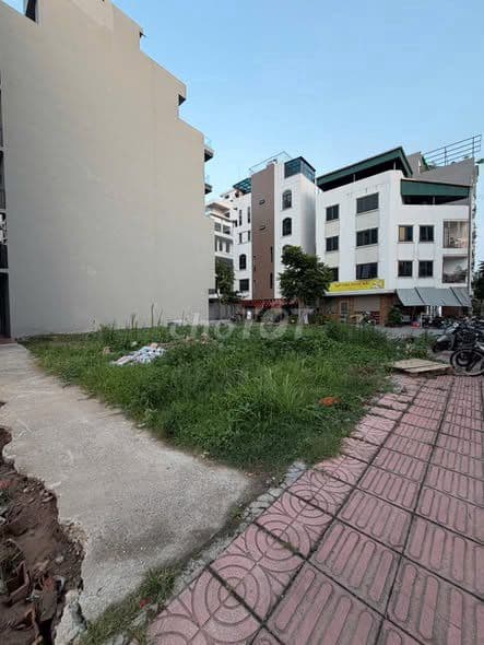 Đất Ngọc Thụy Long Biên lô góc 3 mặt thoáng - Ảnh 3