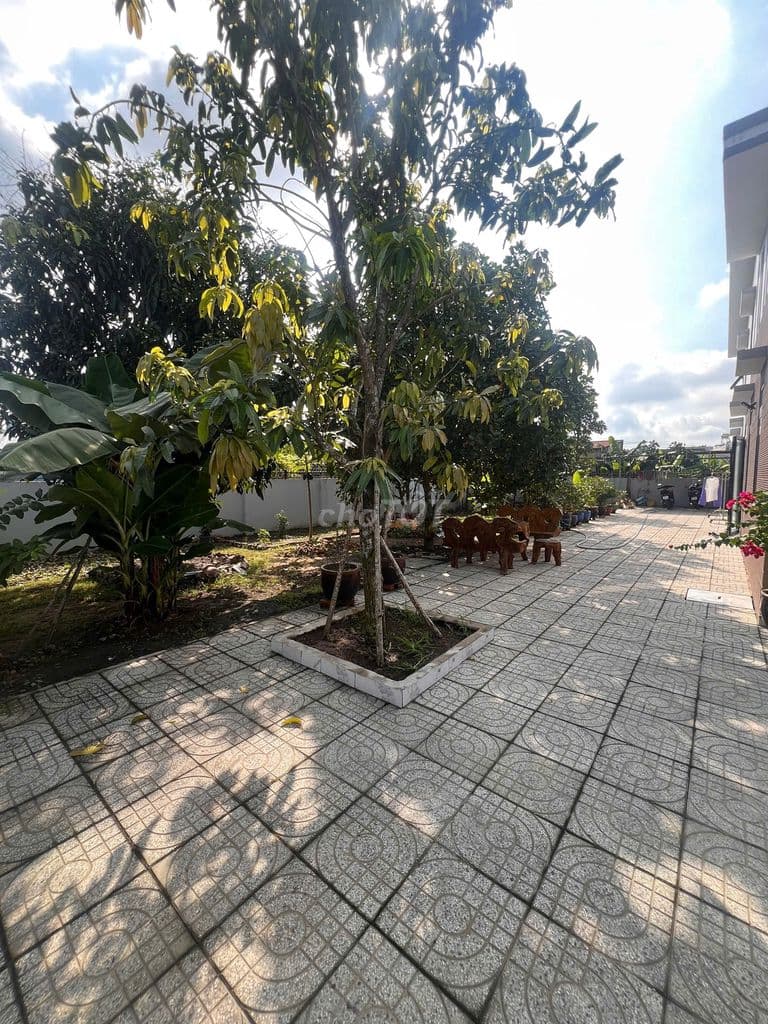 Bán nhà vườn hocmon - Ảnh 3