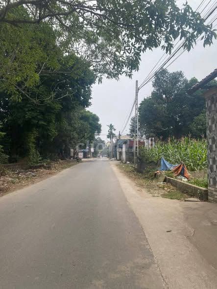 Đất mặt đường kinh doanh Yên Mỹ - Cách TL420 200m - Ảnh 3