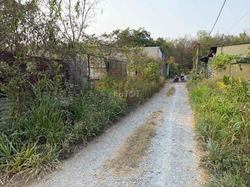 Bán đất đường130 191,3m2 (6,2x30) thổ cư ngay gần trung tâm thạnh đông - Ảnh 3