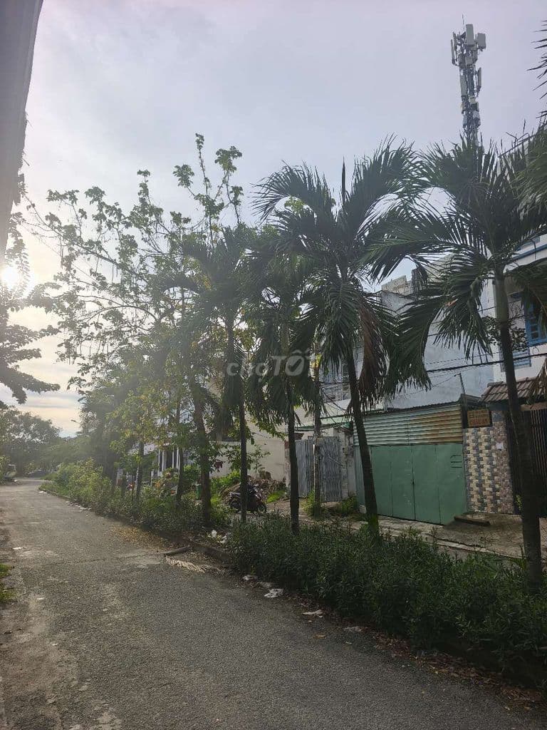 Bán đất mặt tiền đường Bàu gốc 5x22=110m. - Ảnh 2