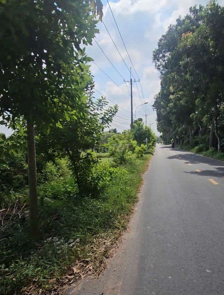 HẠ GIÁ BÁN GẤP ĐẤT MT ĐƯỜNG BÙI THỊ ĐIỆT