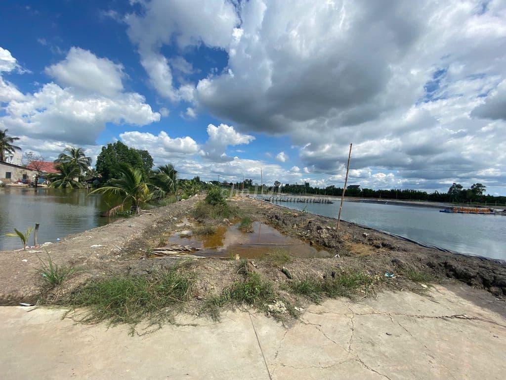 13825 m2 Hà Quang Vóc, xã Bình Khánh, TP.HCM - Ảnh 2