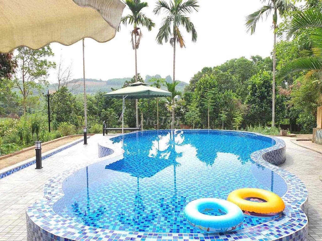 Chính chủ bán nhà vườn/villa trên diện tích đất 3000m2 - Ảnh 3