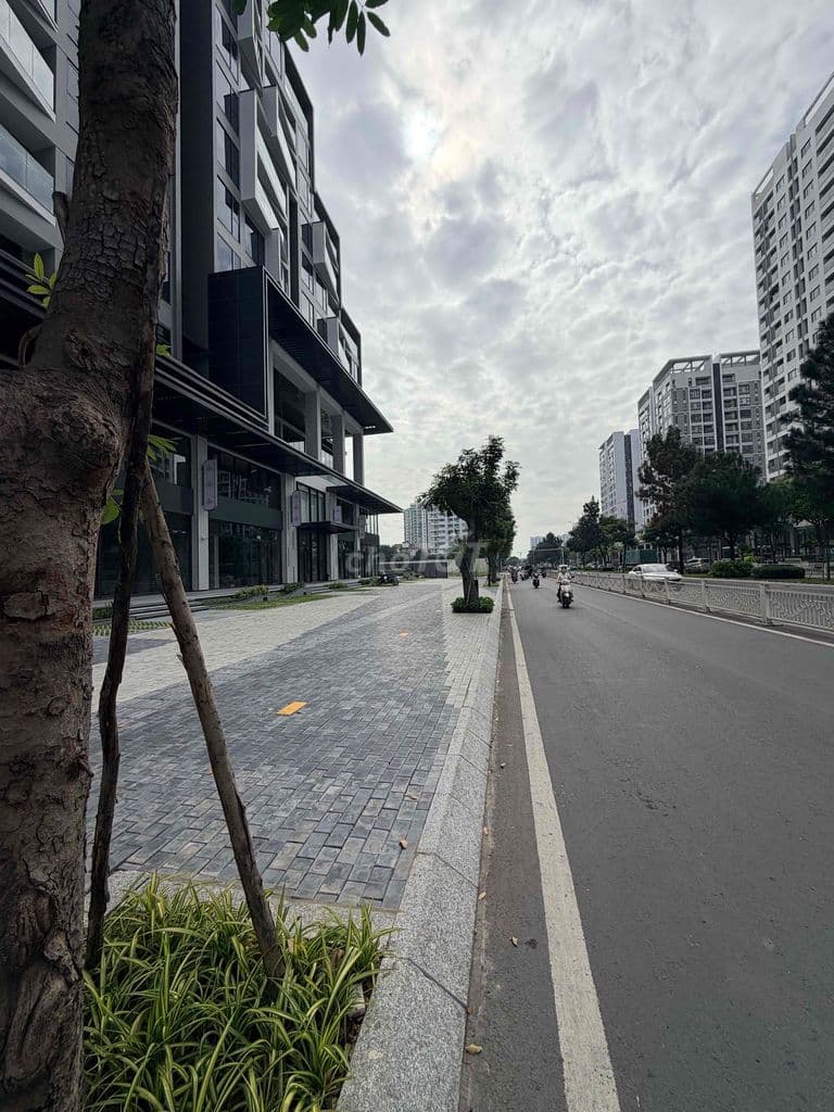 Bán căn hộ giá tốt đầu tư . Chung cư Hoang Quốc Việt. giá :3.4 tỷ - Ảnh 3