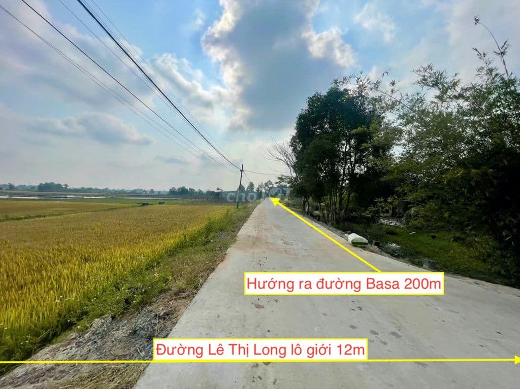 Đất bán xã Phước Hiệp 5x31 ONT. Giá bán 1 tỷ 500 triệu có thương lượng - Ảnh 3