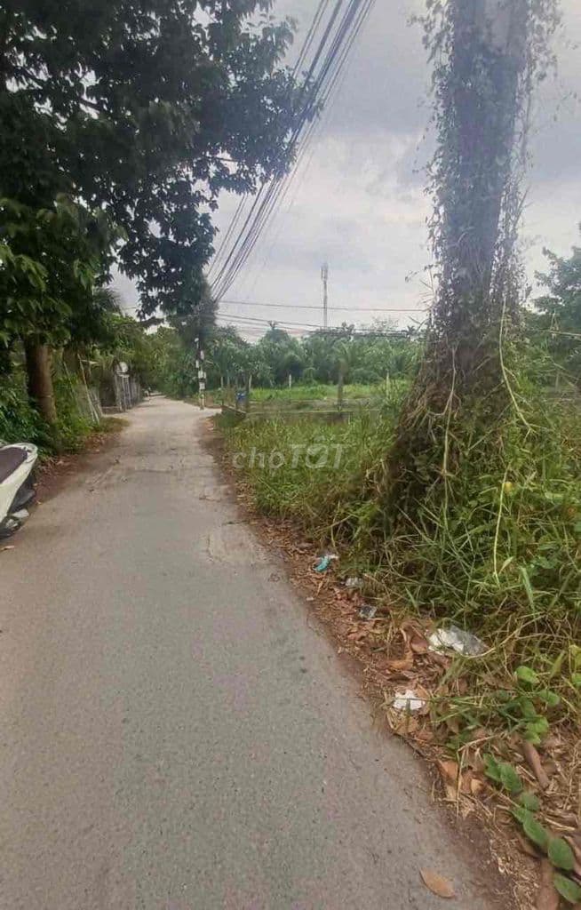 Bán Đất Gần Chợ Bình Mỹ Củ Chi – Thổ Cư Full – Xây Nhà Ngay