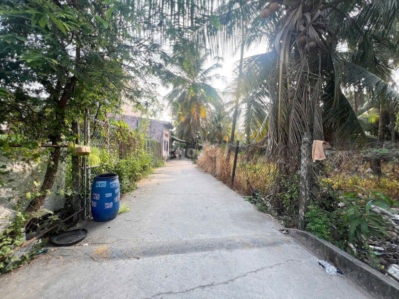 Lô đất vườn, 20x21, Gần chợ Đầu Mối, Ngô Chí Quốc, Bình Chiểu, Thủ Đức - Ảnh 3