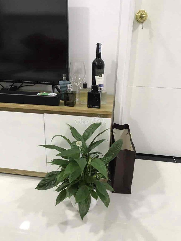 Chuyển nhà nên cần bán nhanh căn hộ Prosper Plaza 65m2 Quận 12 - Ảnh 3