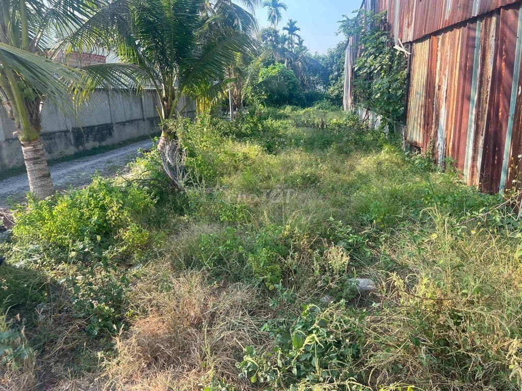 chính chủ gửi lo đất gốc hai mặt tiền đường nhựa dt 5.5x26 m gia 4 ty - Ảnh 3