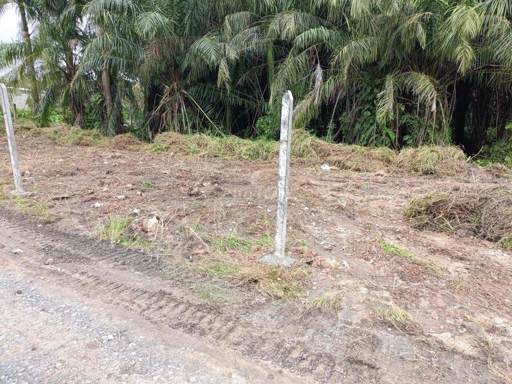 Bán 1410m đất MT Sông Bà Mễn - Ảnh 2