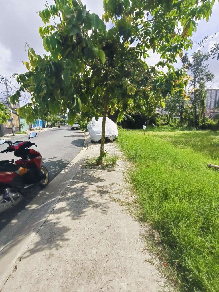 Đất Lớn Mặt Tiền Lê Tấn Bê, Tách đc 7 lô. 680m2 có 560m2 Thổ Cư - Ảnh 3