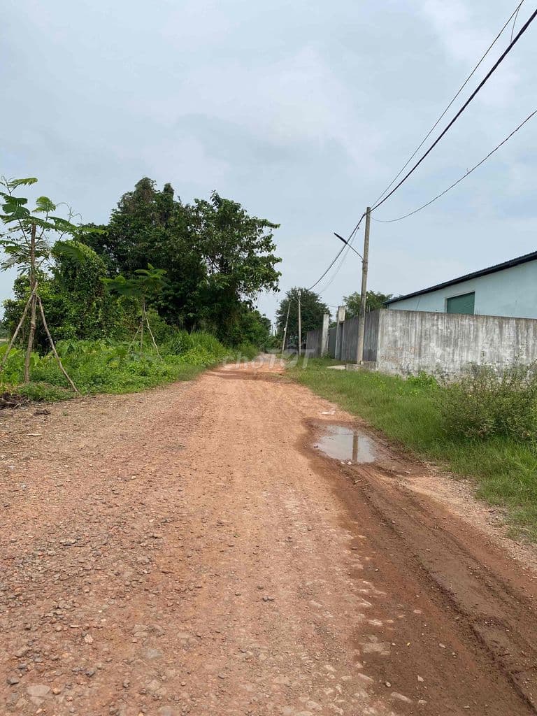 1807m2 đất trồng cây Thạnh Xuân 52 vào đường 6m