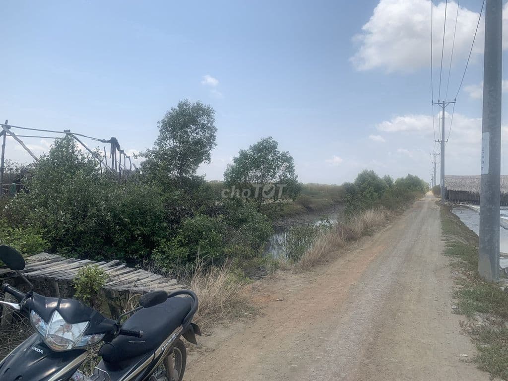 Bán GẤP lô đất MẶT TIỀN đá xanh Lý Nhơn, Cần Giờ 🔹🔹🔹🔹🔹🔹🔹🔹🔹🔹🔹🔹🔹🔹🔹 - Ảnh 3