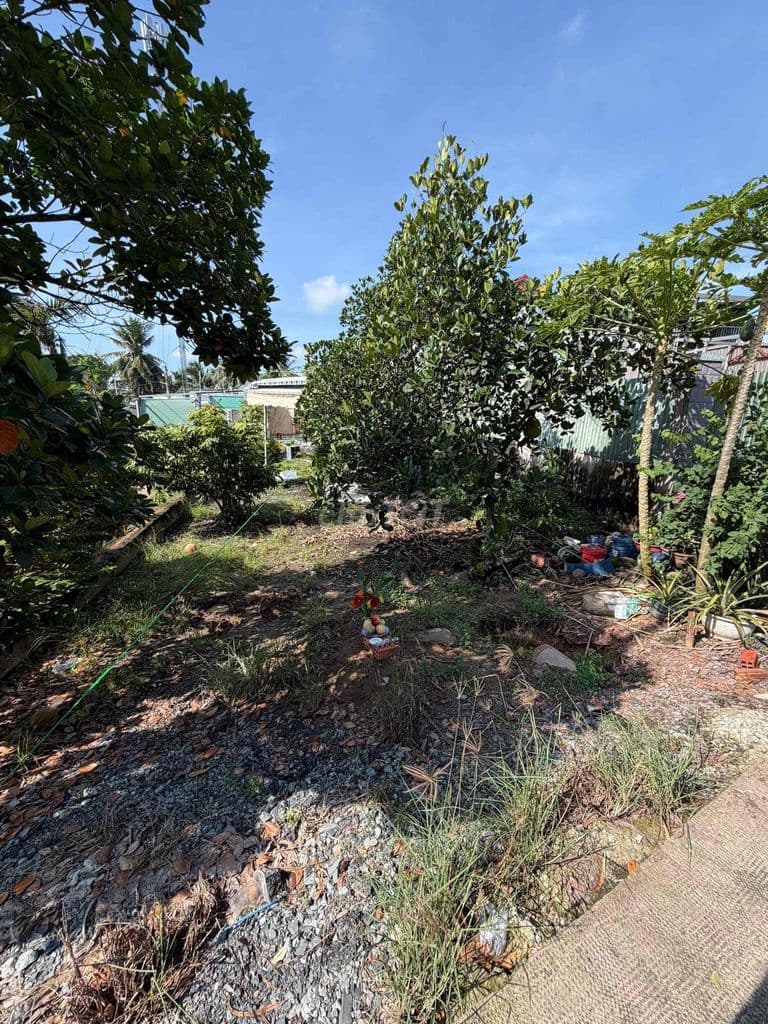 Bán đất mặt tiền đường Thích Thiện Hoà xã Lê Minh Xuân nay là Bình Lơi - Ảnh 3