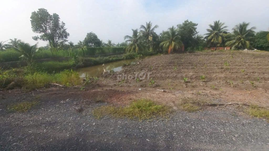 Bán đất vườn 1000m2 đường đá xanh xe tải Lê Minh Xuân - Ảnh 3