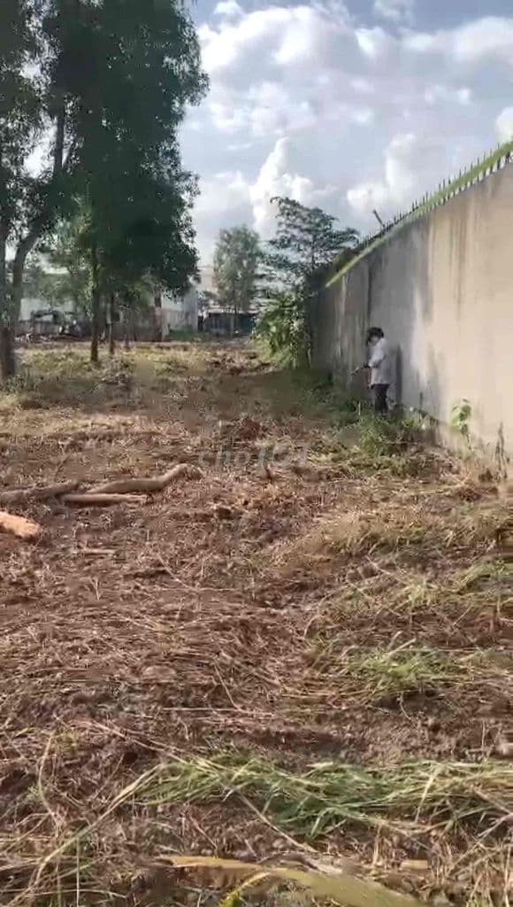 bán đất Quốc Lộ 50 Phong Phú 8.000m giá 20 tr/m2 - Ảnh 2