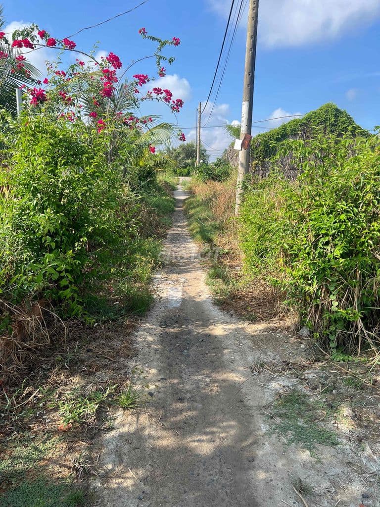 cần bán - Ảnh 2