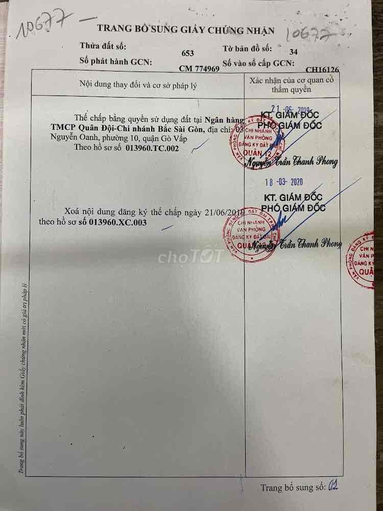 Đất ngộp cần bán gấp tặng cây xanh bự mát che cả vườn luôn - Ảnh 3