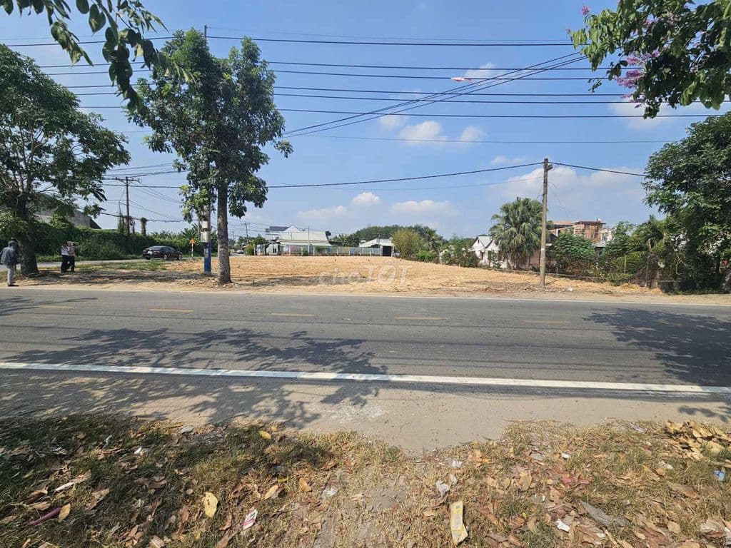 991m2(16×61) Mặt tiền đường Cây Trôn, có sổ , đúng giá 2 tỷ 5 - Ảnh 2