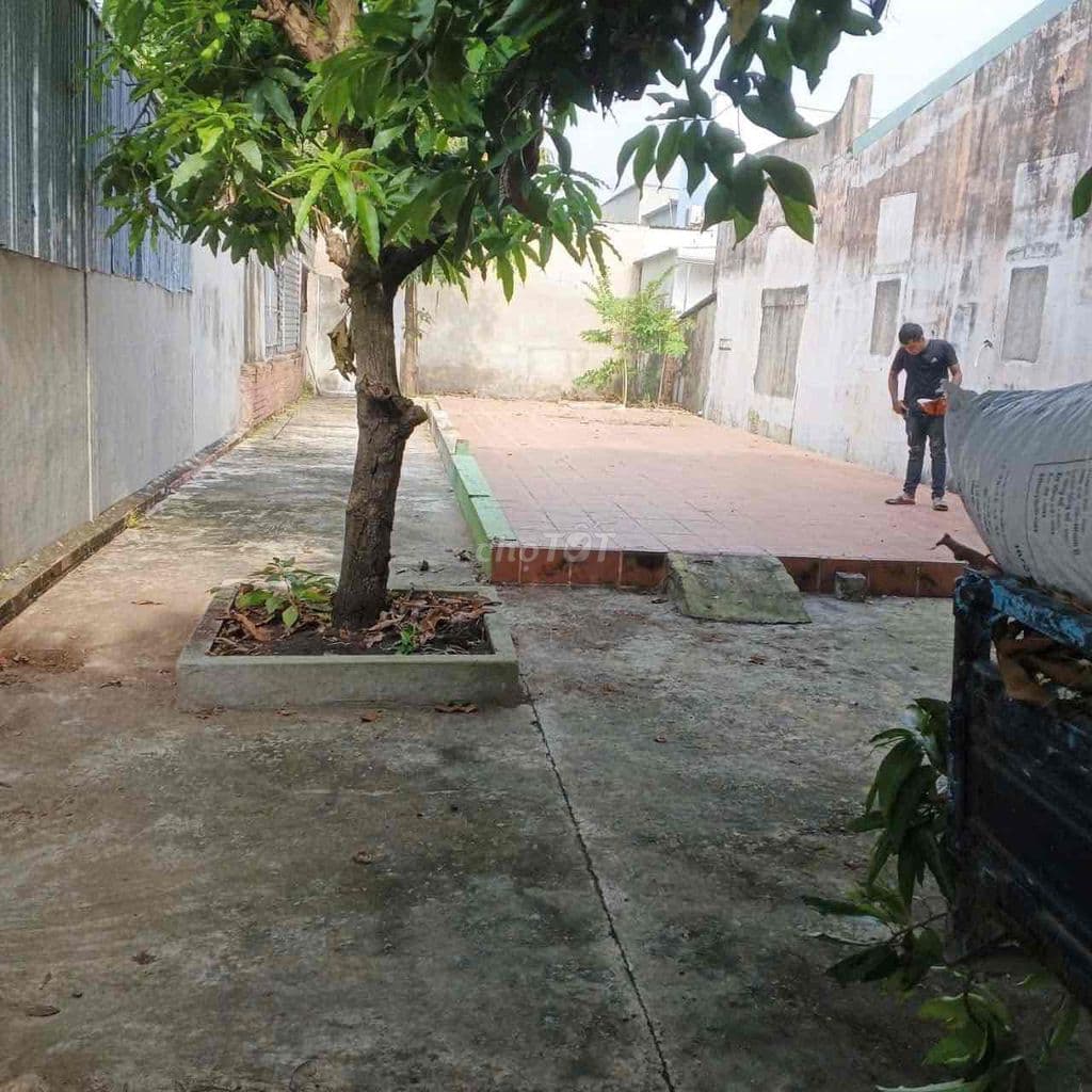 Lê Văn Lương Đất xây biệt thự 7m x 31m nhỉnh 6ty bank đang vay 6ty3 - Ảnh 3