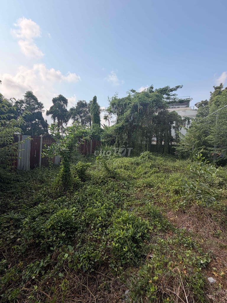 Bán Đất Ngay Đường 28 Tam Bình Hiệp Bình Thủ Đức - Ảnh 2