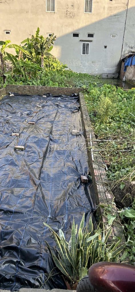 Cần bán lô đất đẹp,vuông vắn,sổ đỏ,khu đông dân cư tại Đức Thượng - Ảnh 3