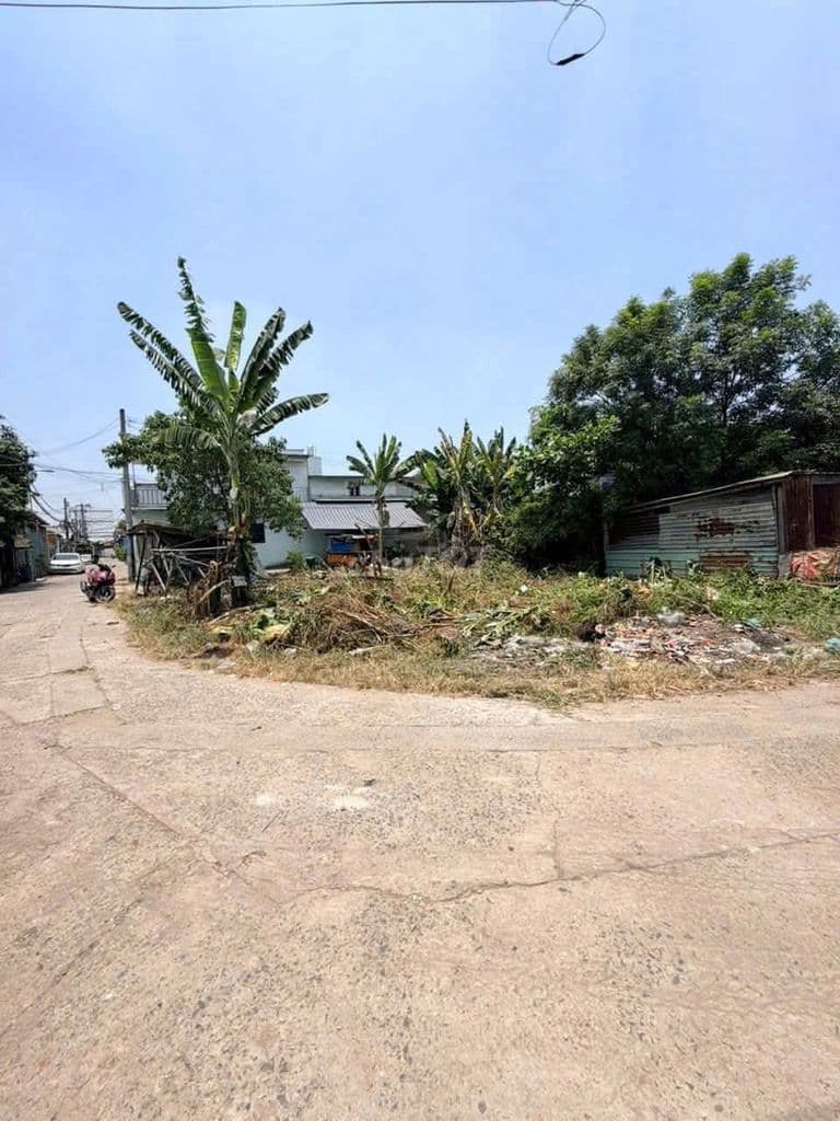 ĐẤT ĐƯỜNG TRỊNH THỊ DỐI, DT:83m2, SỔ HỒNG RIÊNG, CHỈ 2.95 TỶ - Ảnh 3