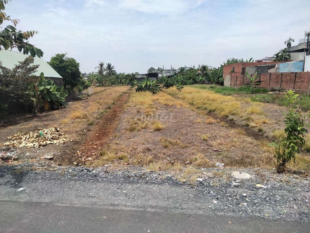 BÁN ĐẤT THỔ CƯ 1100M2 ĐƯỜNG NHỰA THÔNG XÃ BÌNH MỸ - Ảnh 3