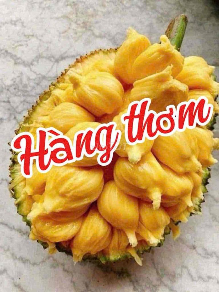 Hàng hiếm siêu phẩm đường Dương Quảng Hàm p6 Gof vấp