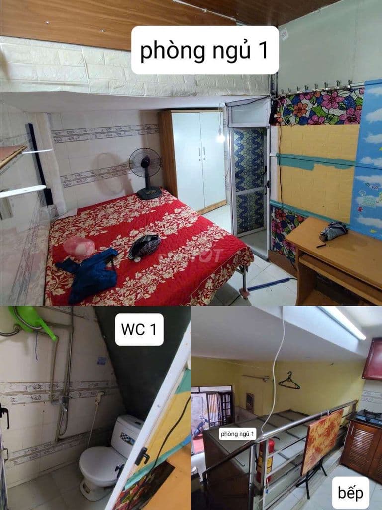 Bán nhà ngõ 263 đường Nguyễn Trãi, 19m2 - Ảnh 2