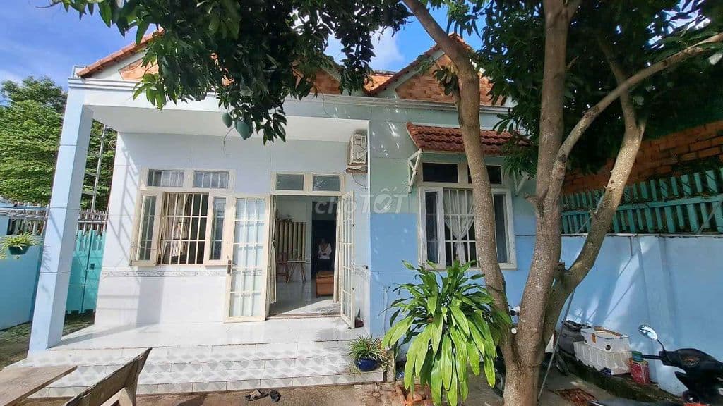 Bán đất ođt 1.006m2 có nhà 96m2 Trần văn Giàu Tân vĩnh Lộc - Ảnh 3